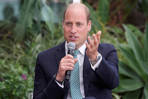 prince william owns rfid chip|Britain's Prince William talks green tech at Earthshot event.